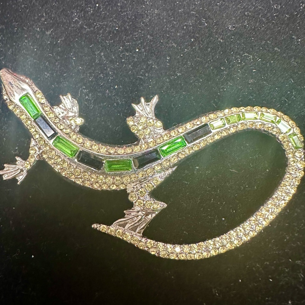 Sassy Jones lizard brooch. Never worn.